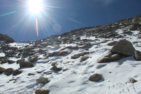 Ladakh snowfall
